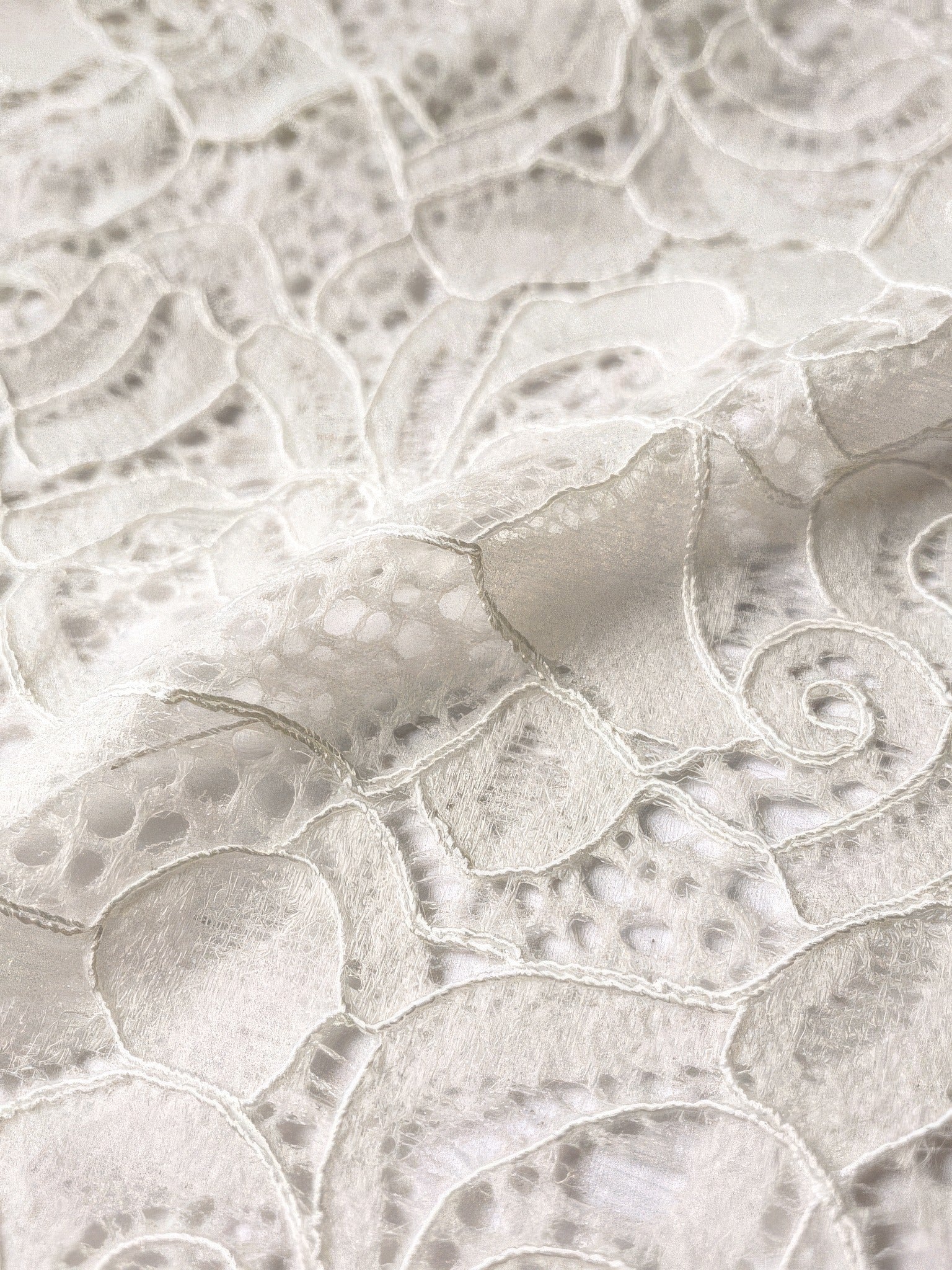 Close-up of the fine floral rose lace used on the bodice and sleeves