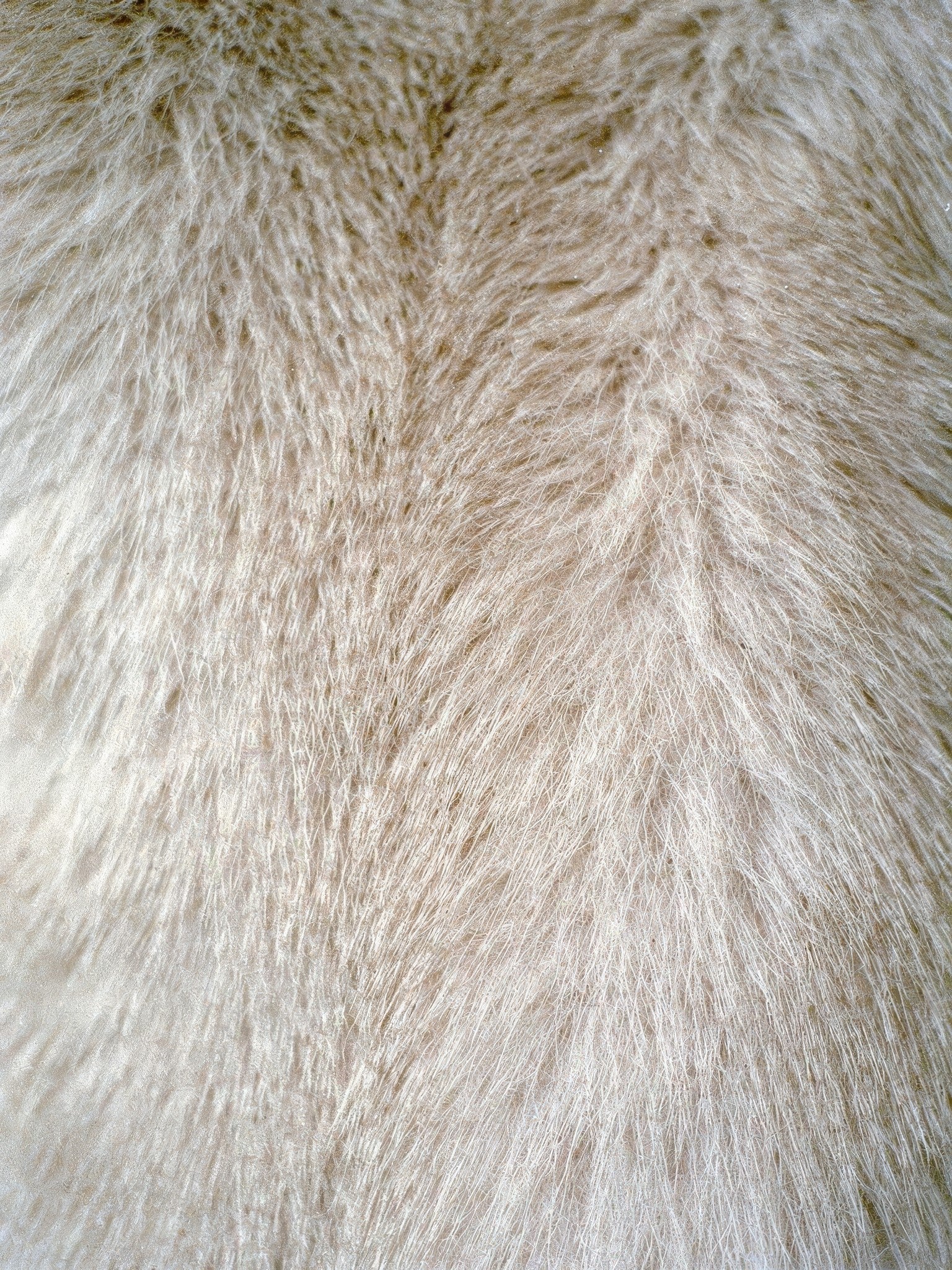 Close-up of the plush faux fur texture of the cream coat